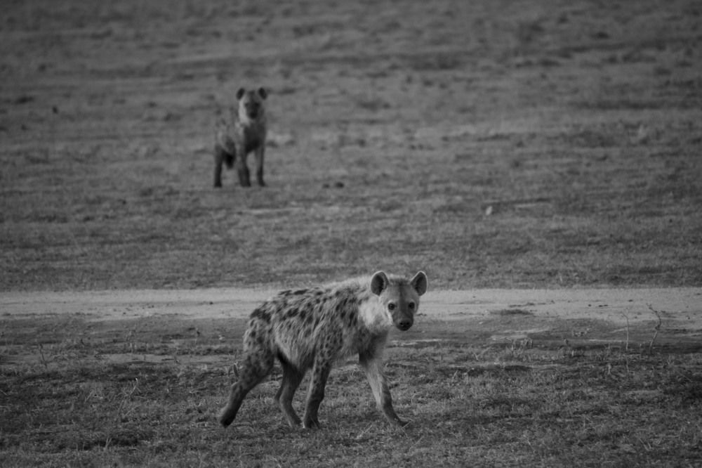 Фотография автора Елена