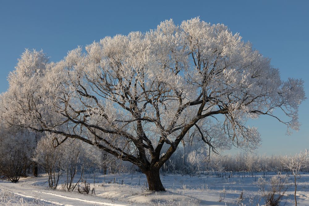 Photograph by Сергей Соколов