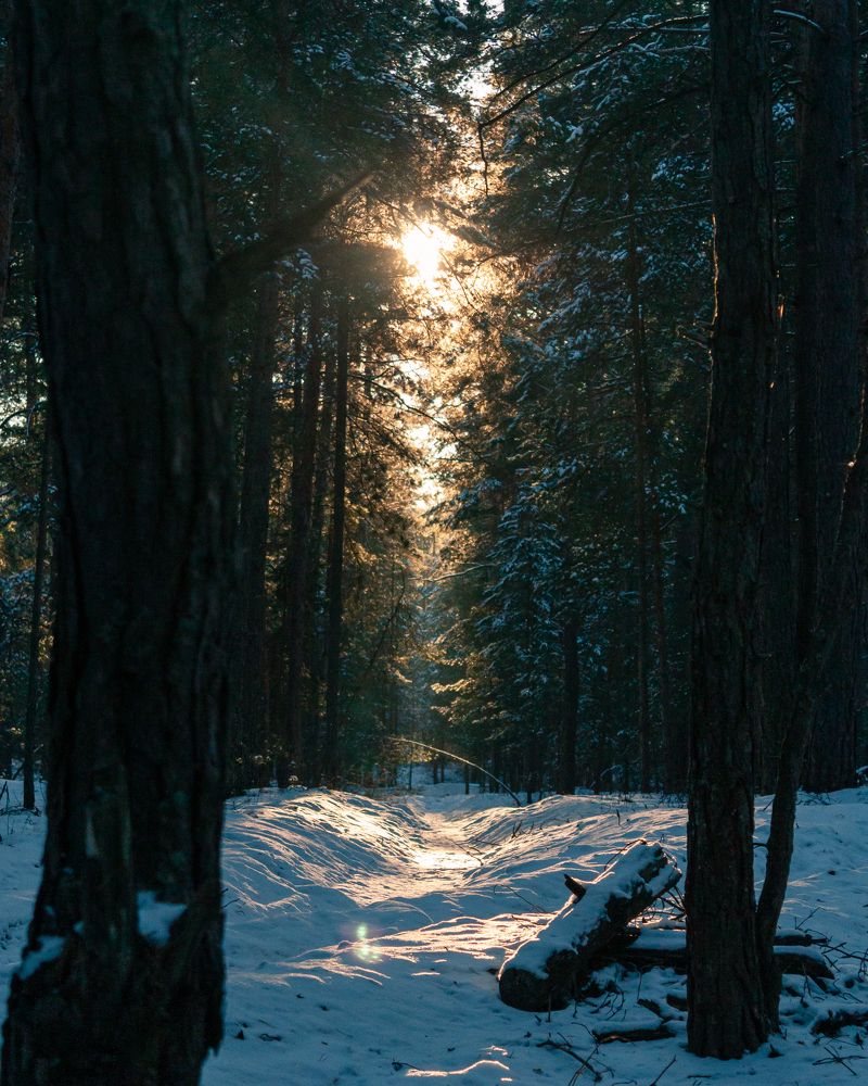 Photograph by Михаил Андронов