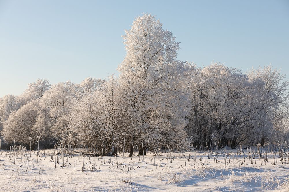 Photograph by Сергей Соколов