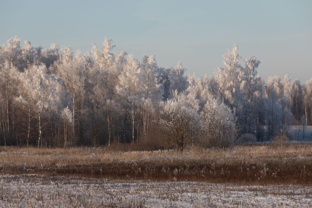 Photograph by Сергей Соколов