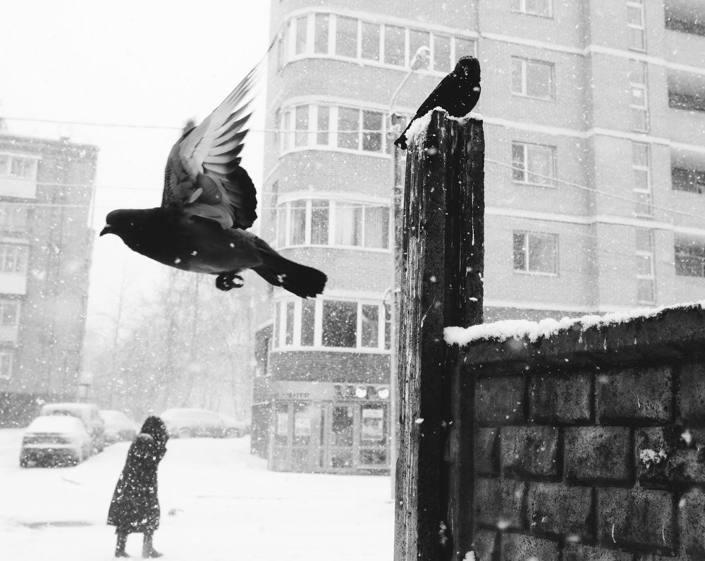 Photograph by Roman Байтлеулов