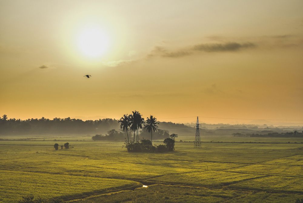 Rising Sun at Galanigama