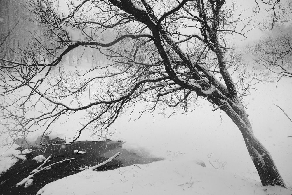 Photograph by Roman Байтлеулов