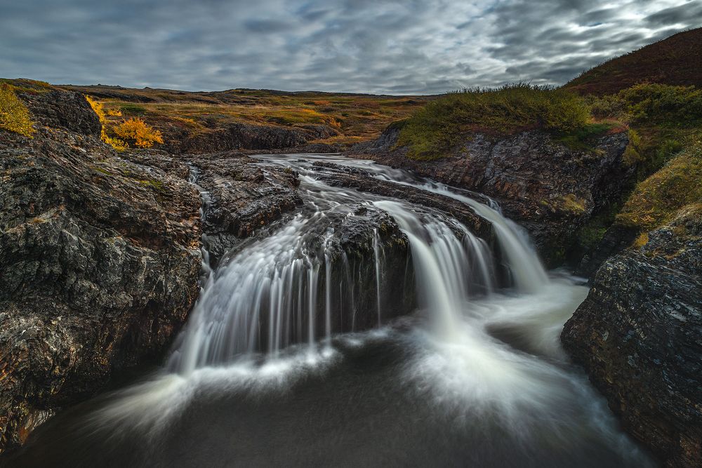 Фотография автора Чекалев Алексей
