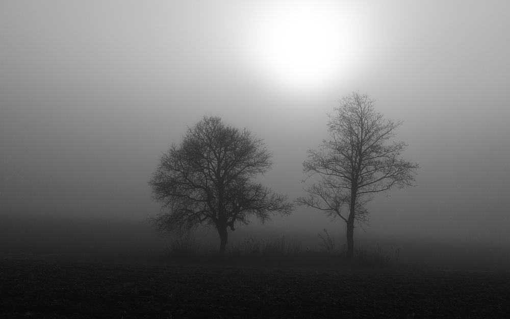 Photograph by Сергей Дишук