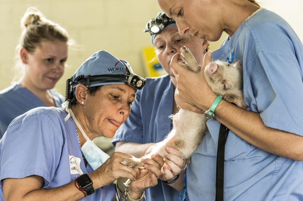 Photograph by Sarti Camilo