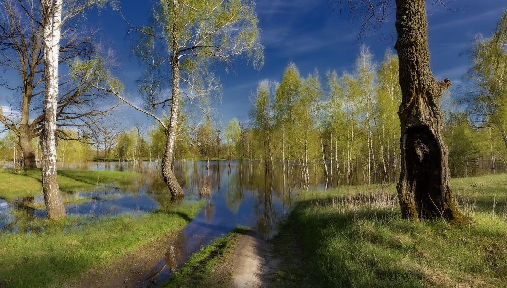 В краю озер весенних...