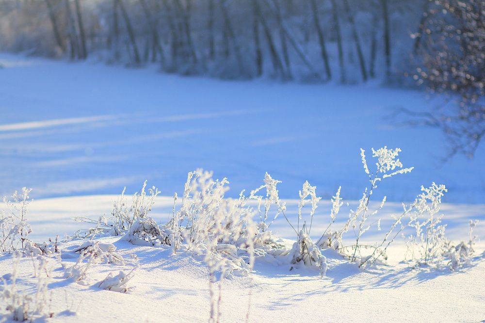 Photograph by Юлия Щетинина