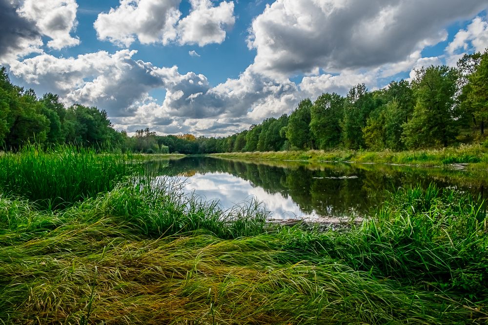 Тишина вовне и внутри.