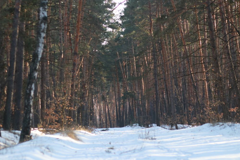 Photograph by Юлия Щетинина