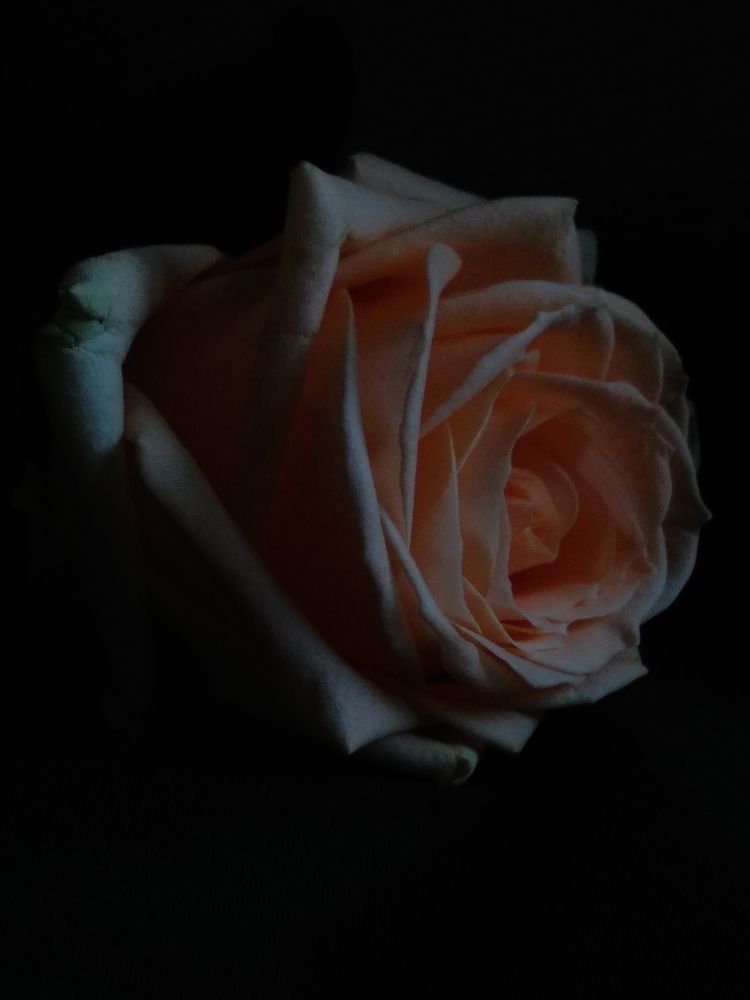 Photograph by Екатерина Радюкевич