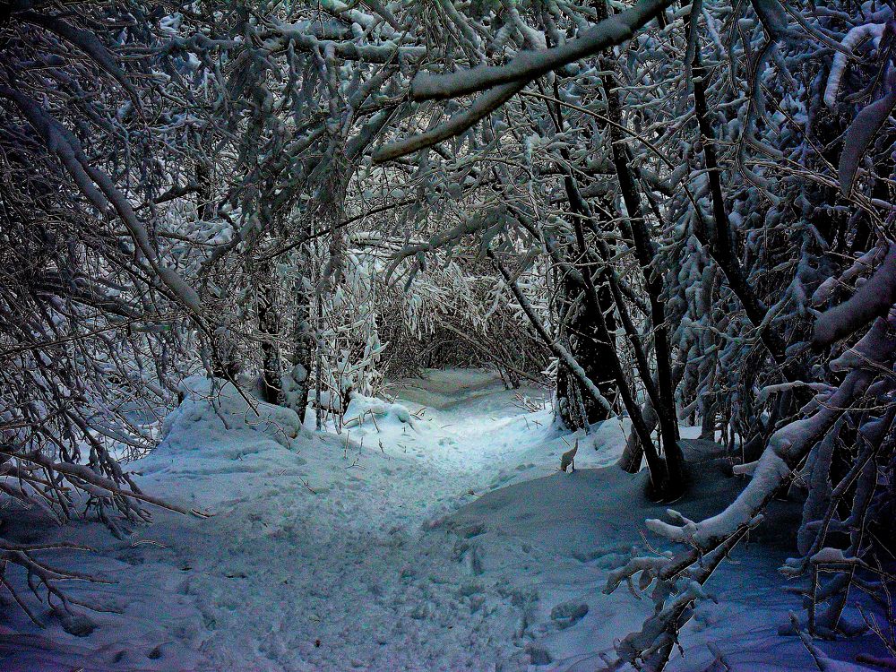 Photograph by mihail