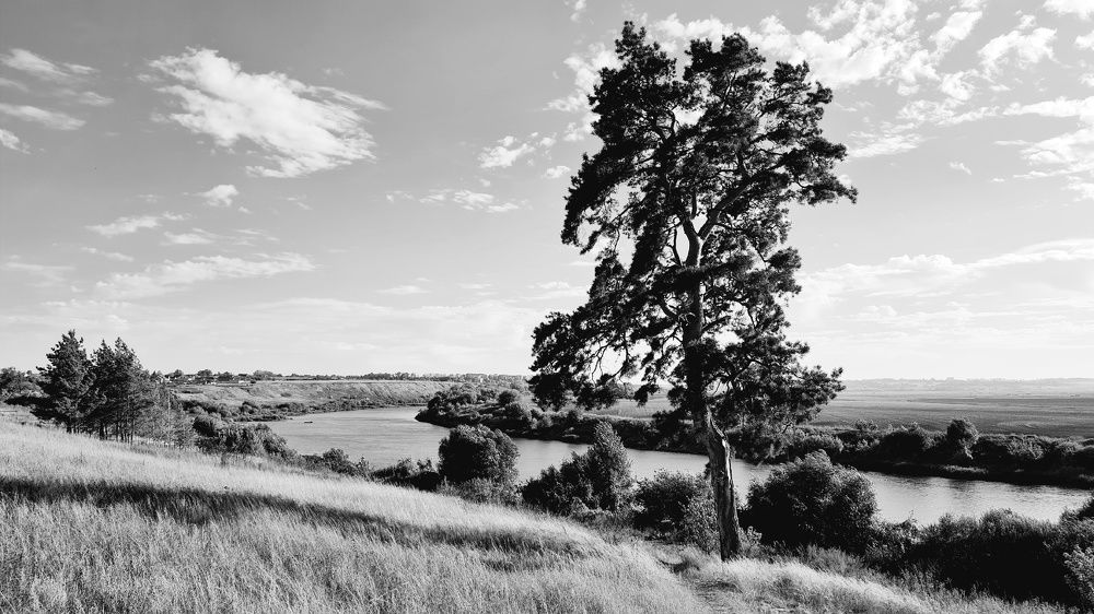 Photograph by Анастасия Маклакова