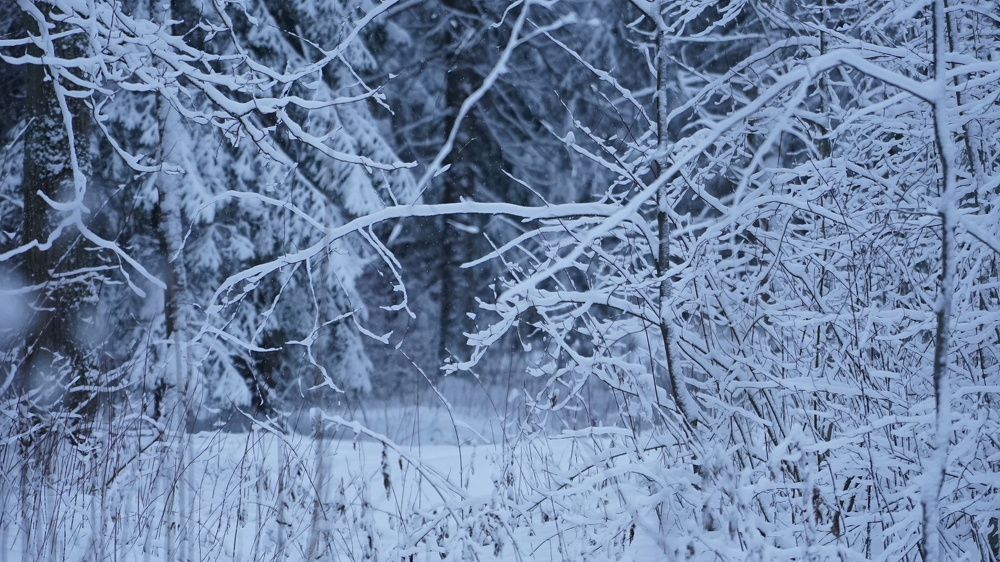 Фотография автора Владимир Коровяковский