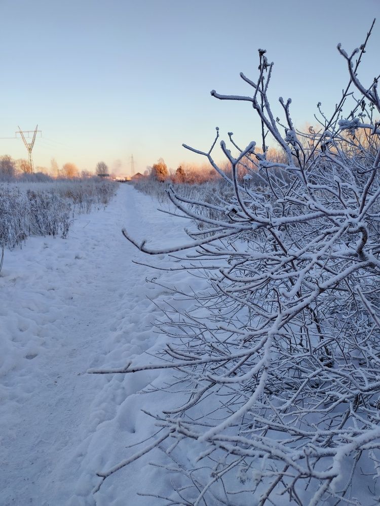 Фотография автора Светлана Смирнова