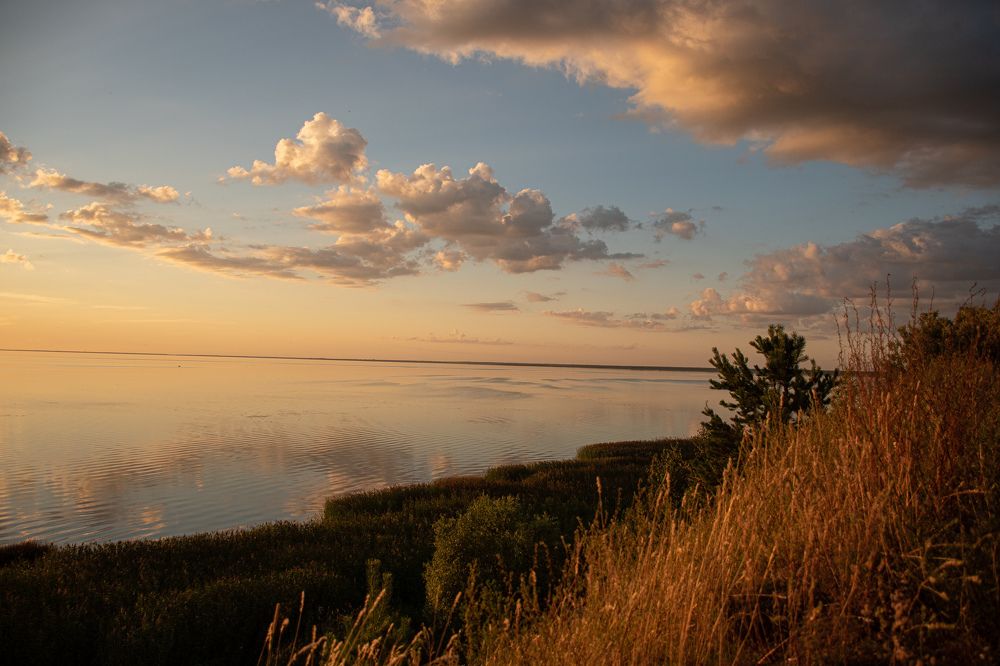 Фотография автора Светлана Дроголюбова