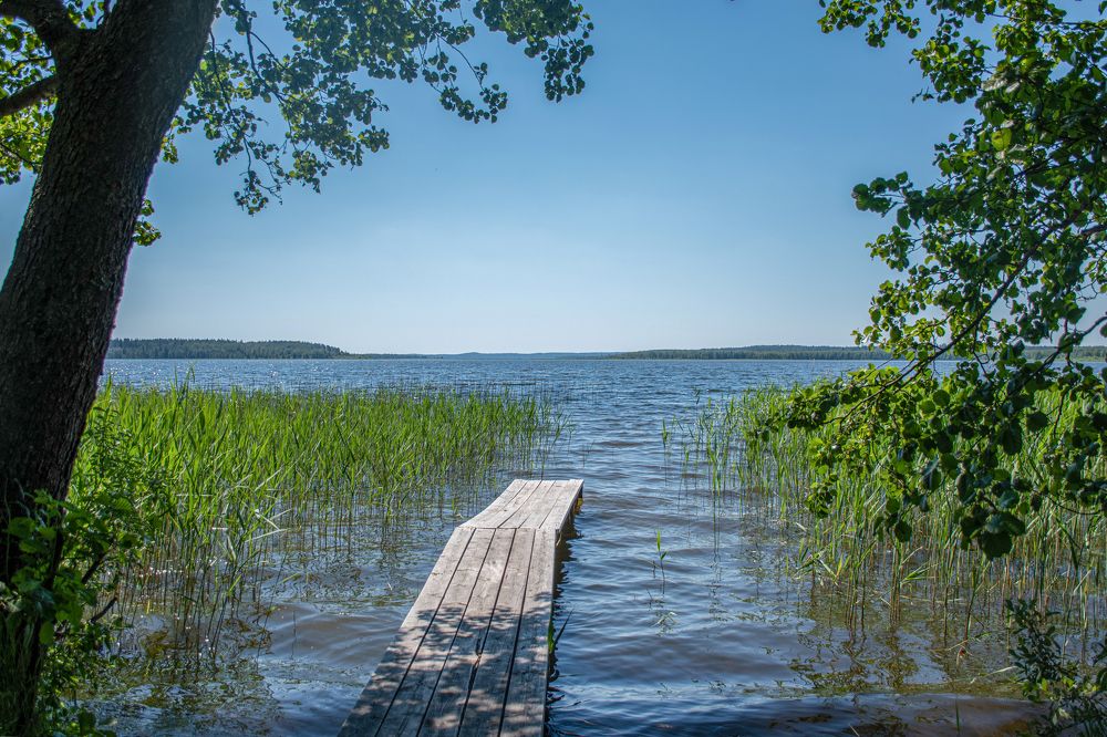 Фотография автора Светлана Дроголюбова