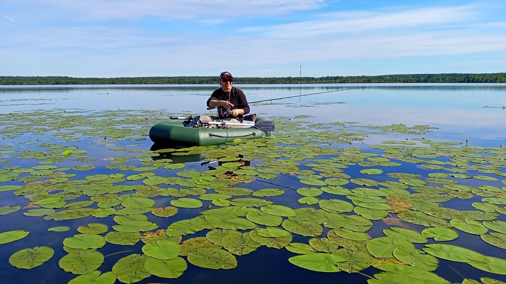 Photograph by Михаил Плотников