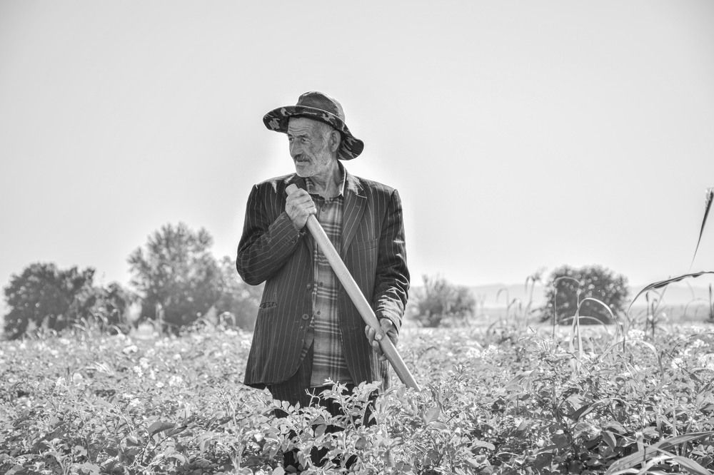 Photograph by İlham Mustafayev