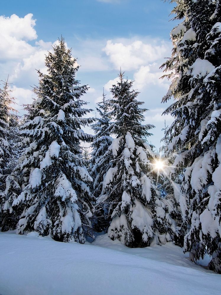 Photograph by Инна Макарчук