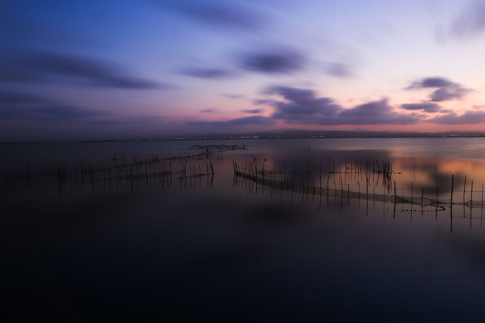 Photograph by Torres