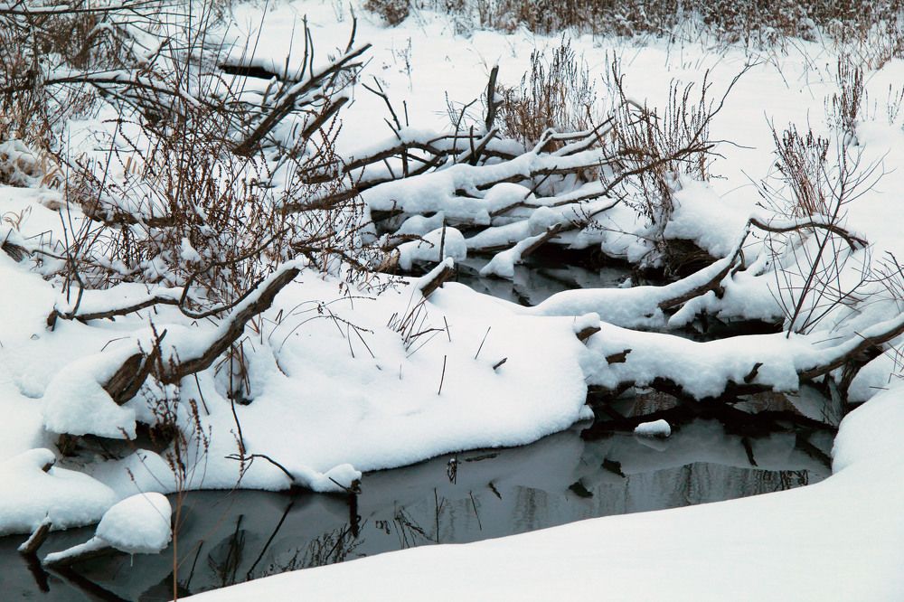 Photograph by Андрей