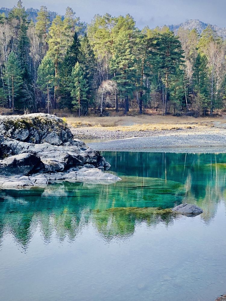 Photograph by Елена Караваева