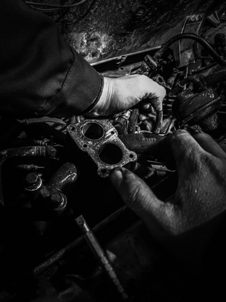 Фотография автора Карина Гурова