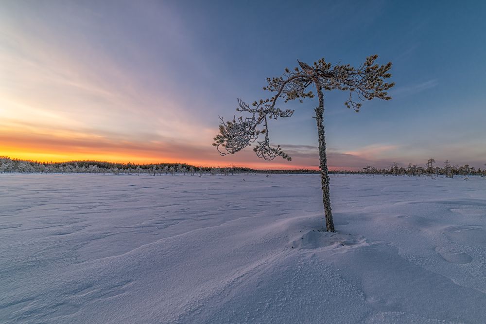 Photograph by Третьякова Анастасия