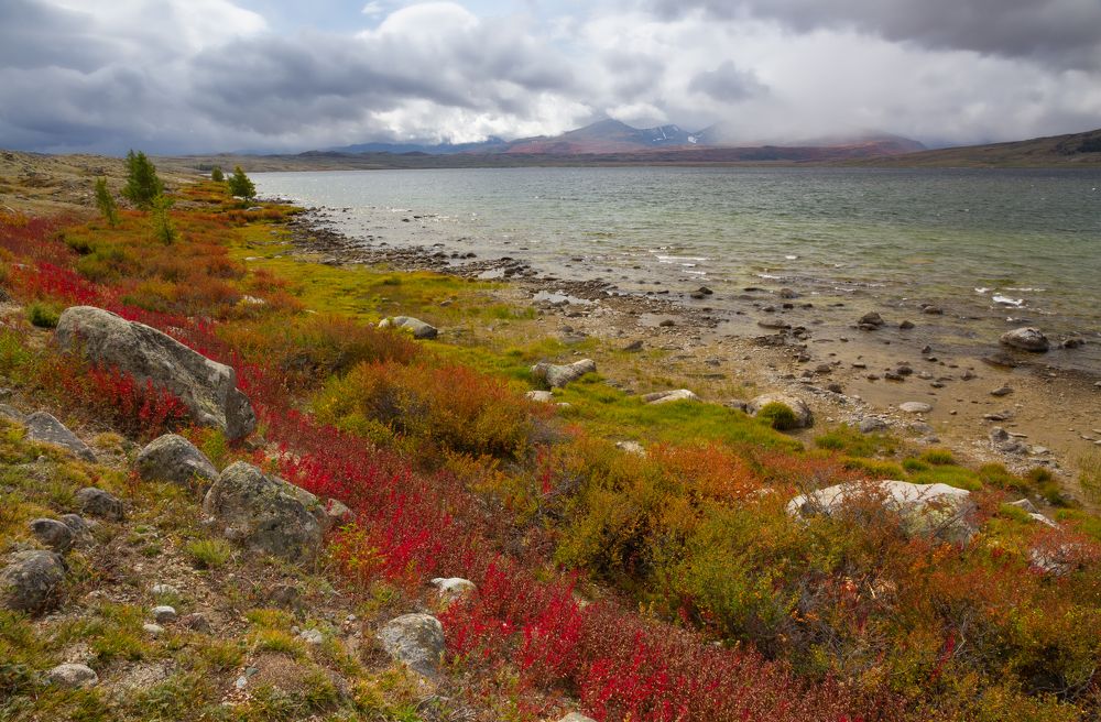 Photograph by Сергей Бирюков