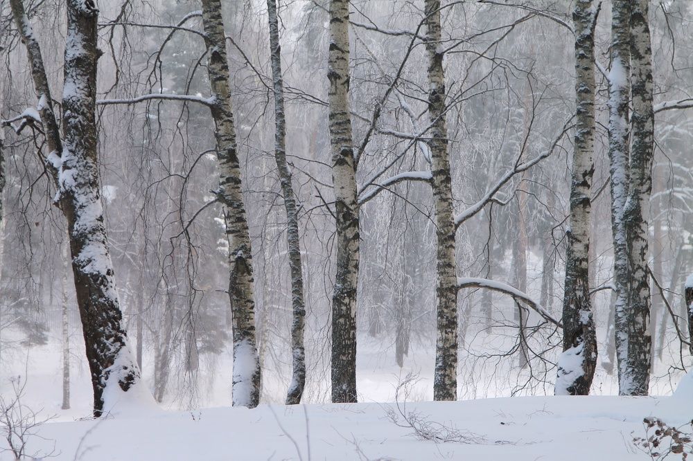 Photograph by Виктория Хмара