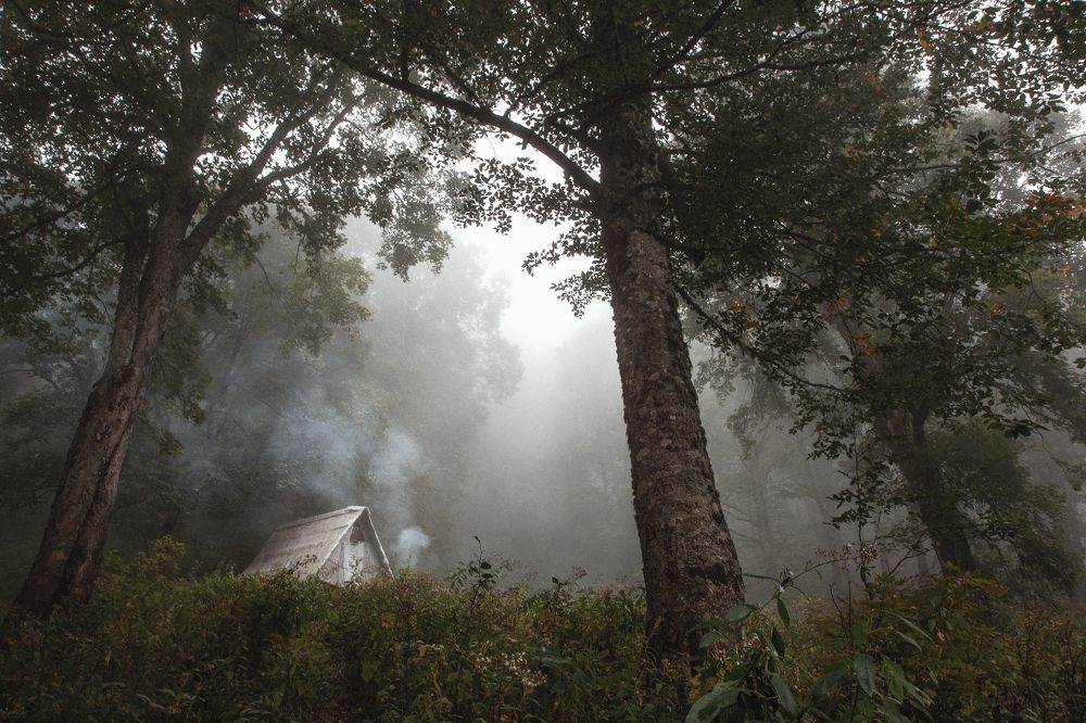 Photograph by Анна Демичева