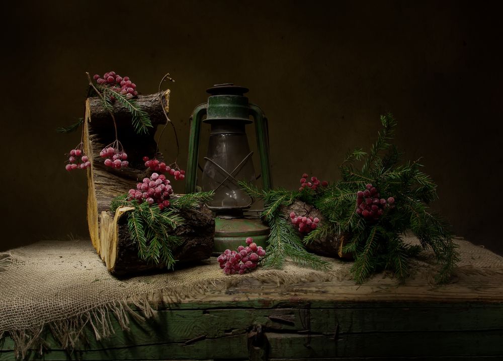 Photograph by Феденкова Татьяна