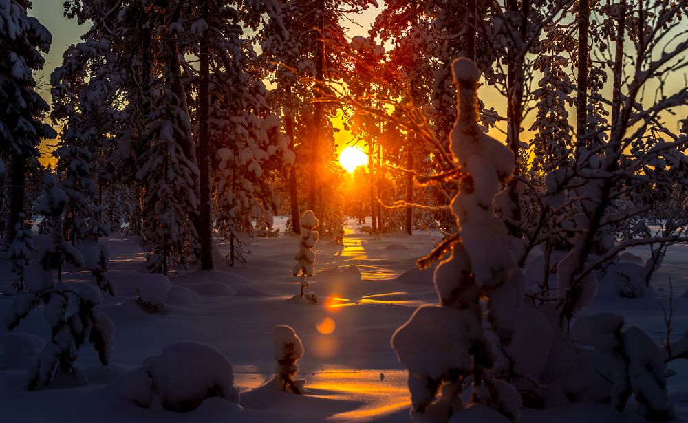 Photograph by Александр Бакин