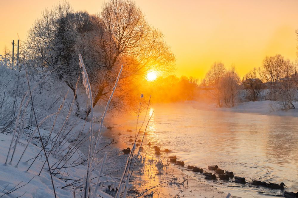 Photograph by Анастасия Малахова