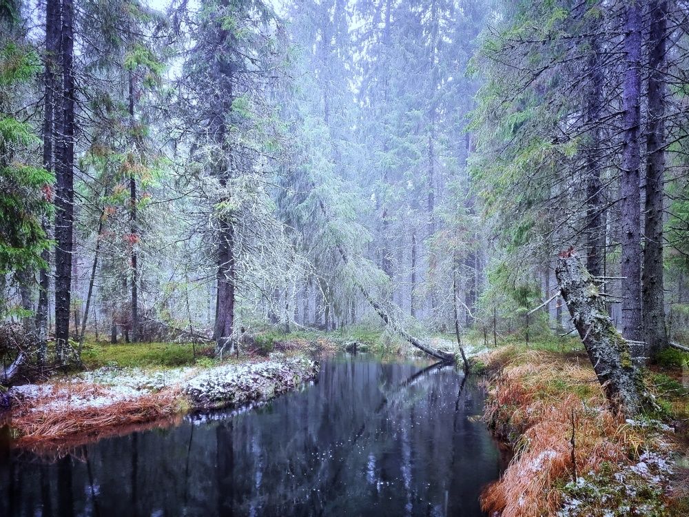 Photograph by Вячеслав Ригачин