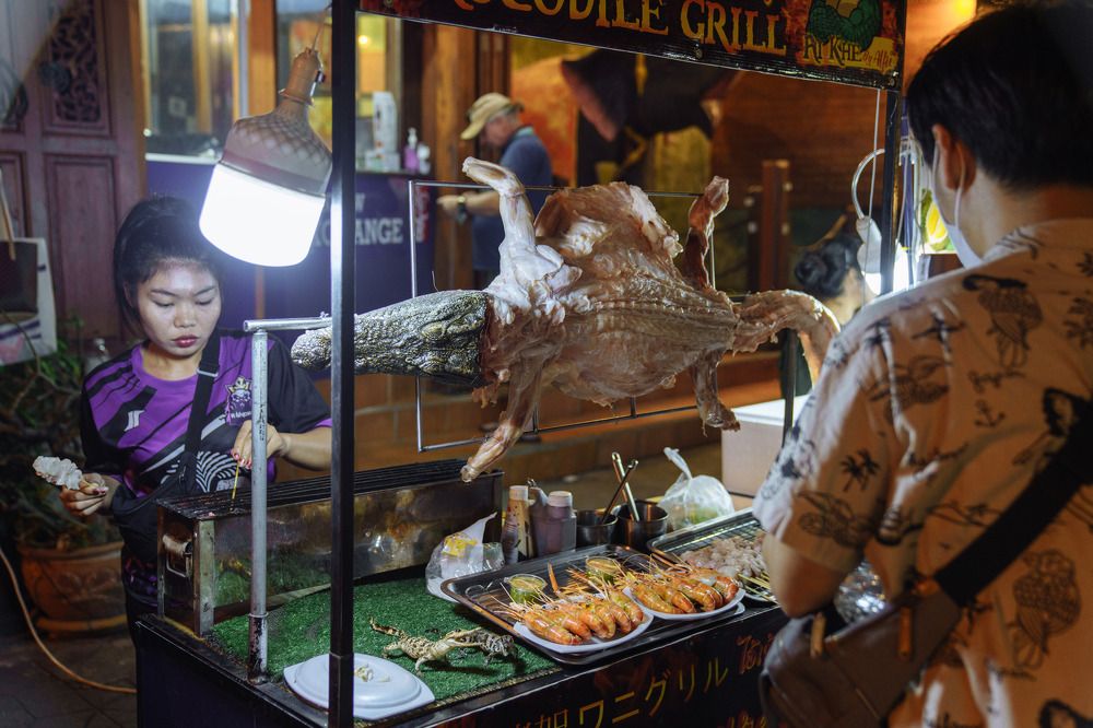 Photograph by Mikhail S