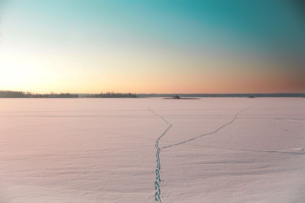 Photograph by Андрей Слынченко