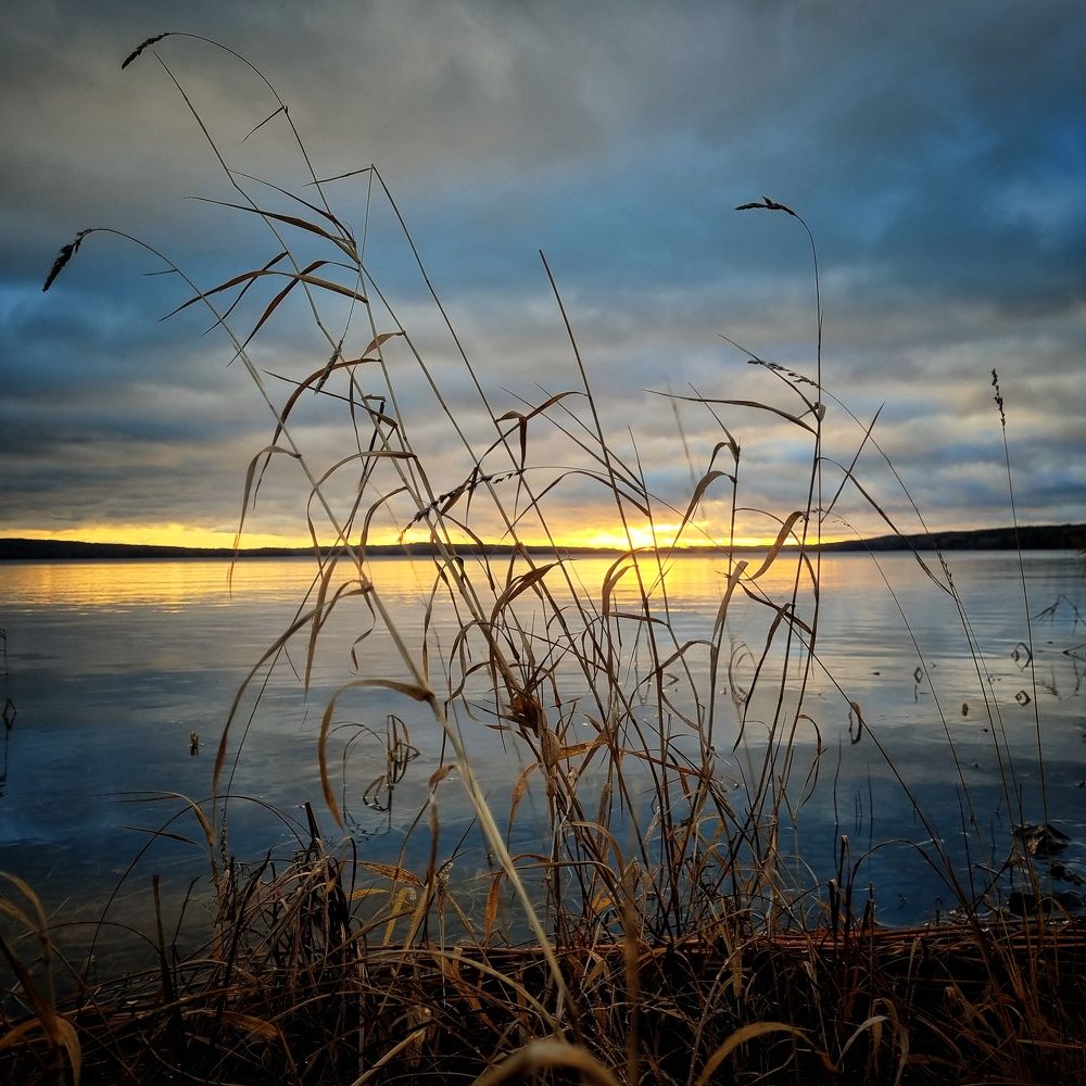 Photograph by Вячеслав Ригачин