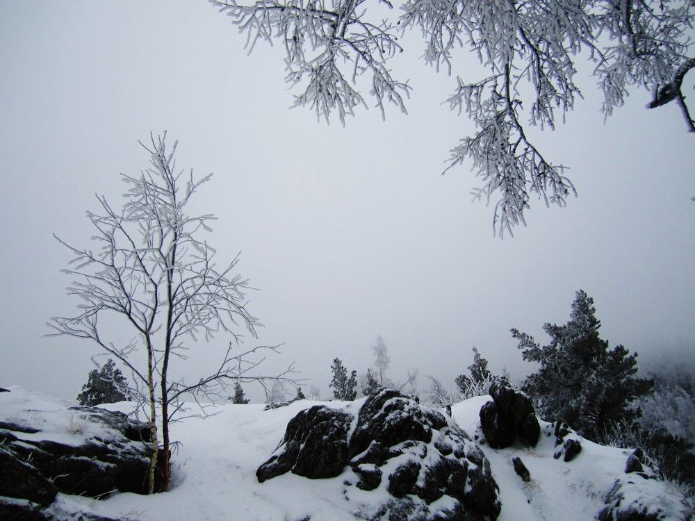 Photograph by Наталья Дубовкина