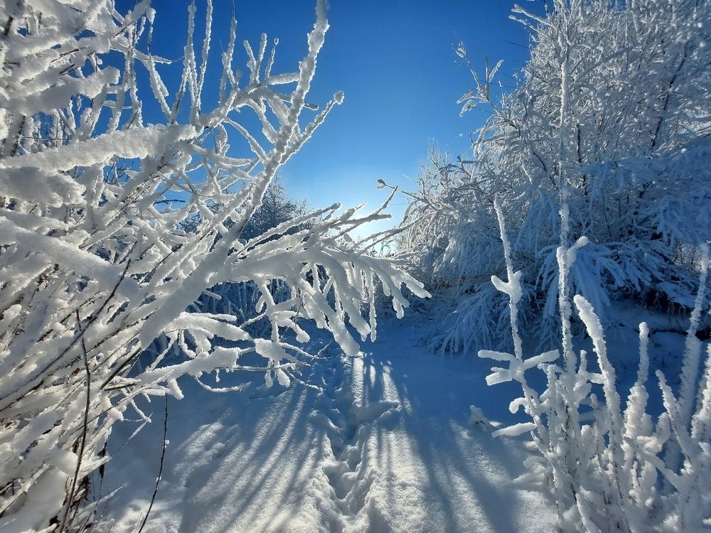 Photograph by Наталья Дубовкина