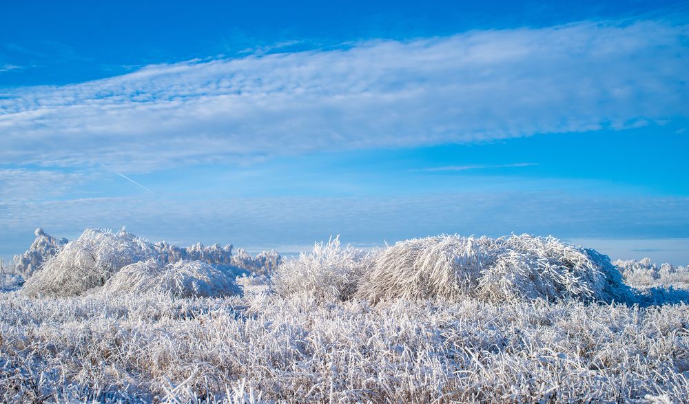 Photograph by Александр Трошин