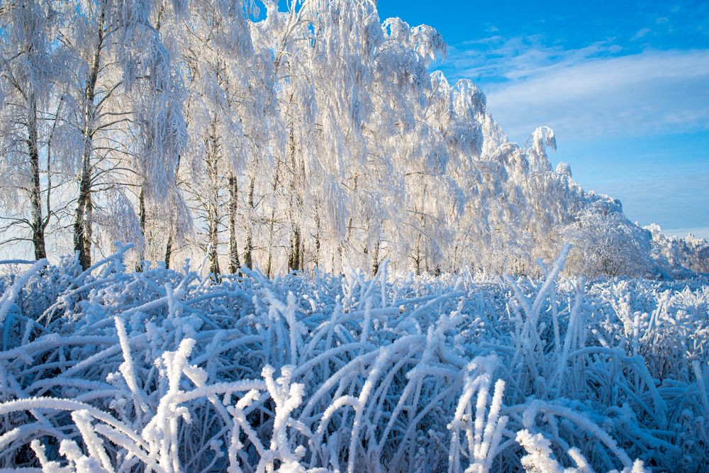 Photograph by Александр Трошин