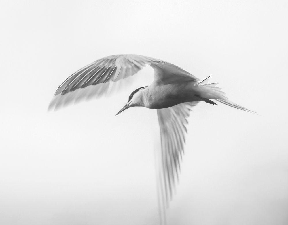 Photograph by Fadeeva Ekaterina