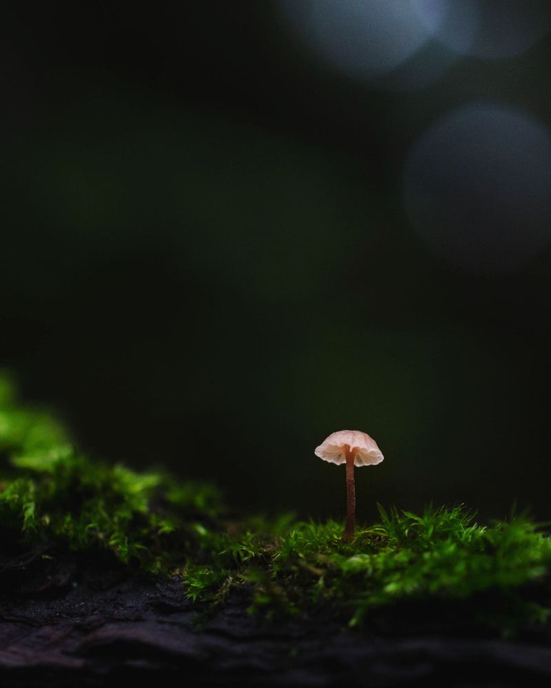 Photograph by Вайсберг Александр