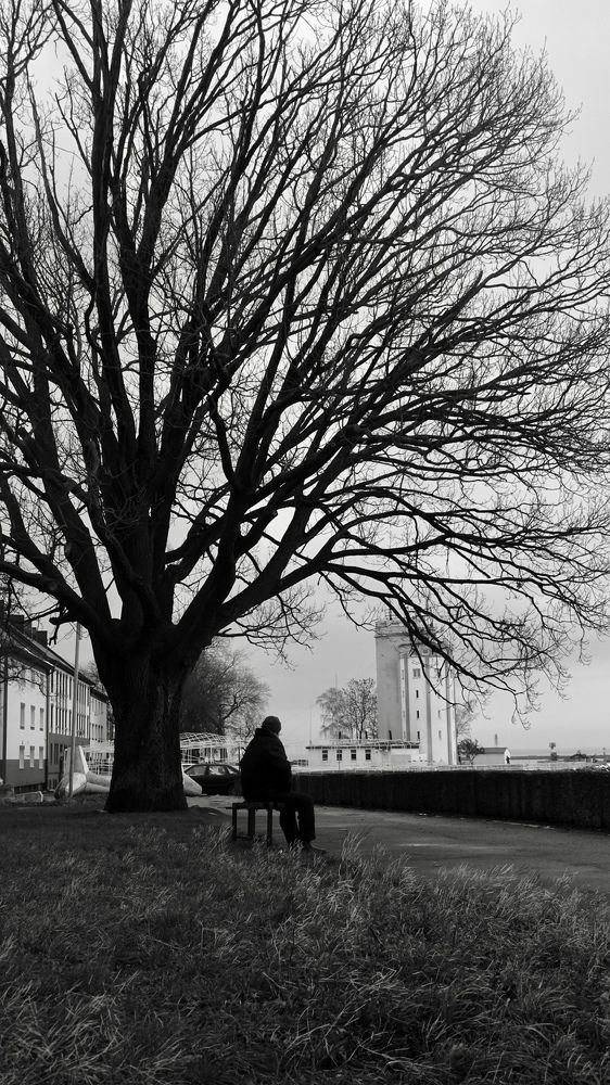 Photograph by Николай Спевак