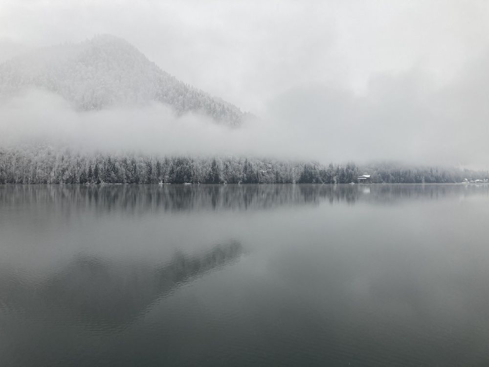 Туман на озере Рица