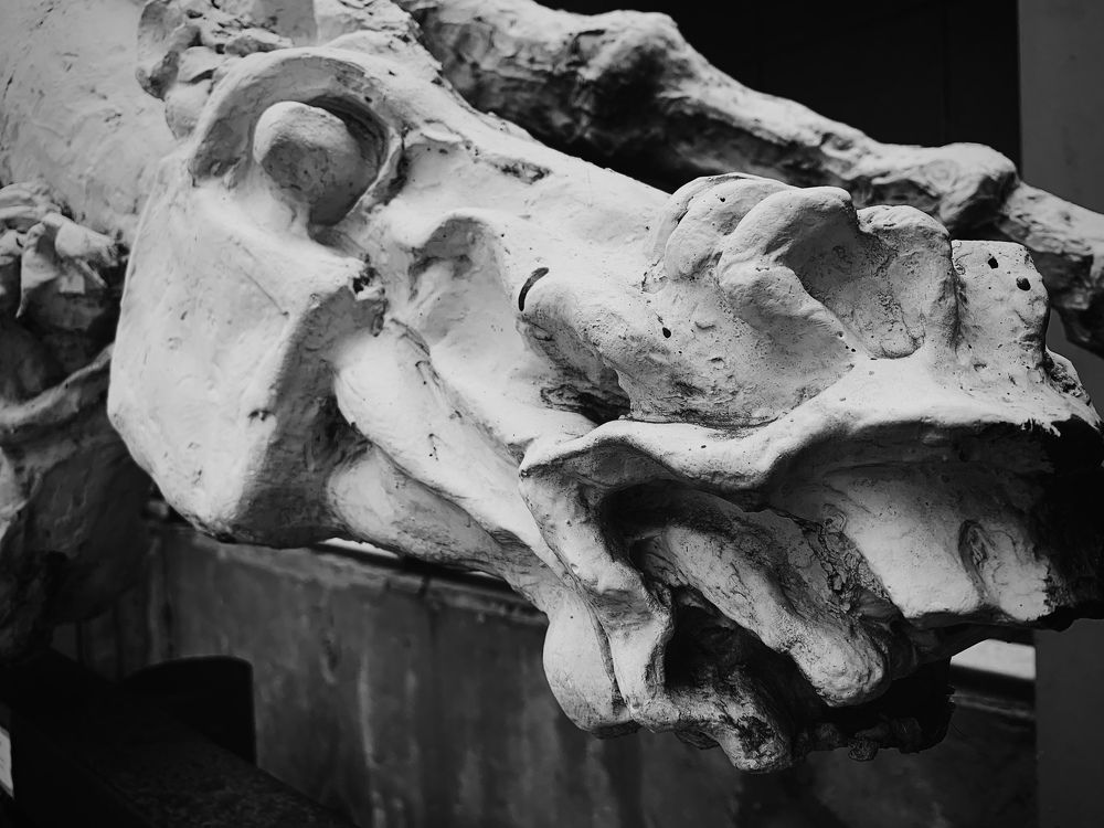 Photograph by Станислав Ситников