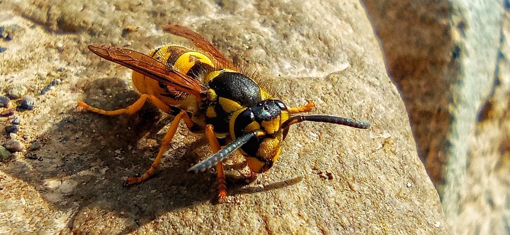 Фотография автора Mahdi Mohammadi